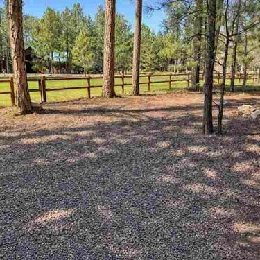 a_photograph_captures_a_forested_backyard_scene_du_44kb_525x375